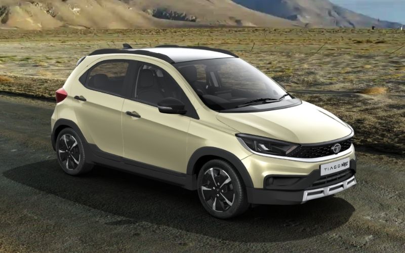 Beige with Black Roof (Grassland Beige DT)